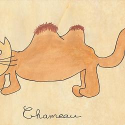 Chameau